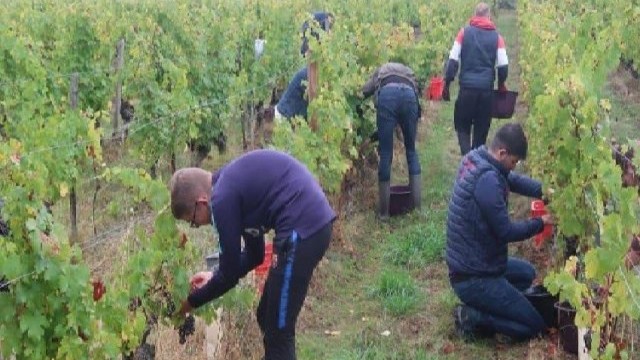 seasonal worker youth